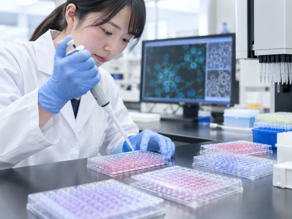 iPS細胞は再生医療と創薬研究に活用される